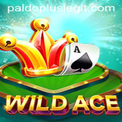 Exploring the Dynamic World of WildAce: A Thrilling Gaming Experience